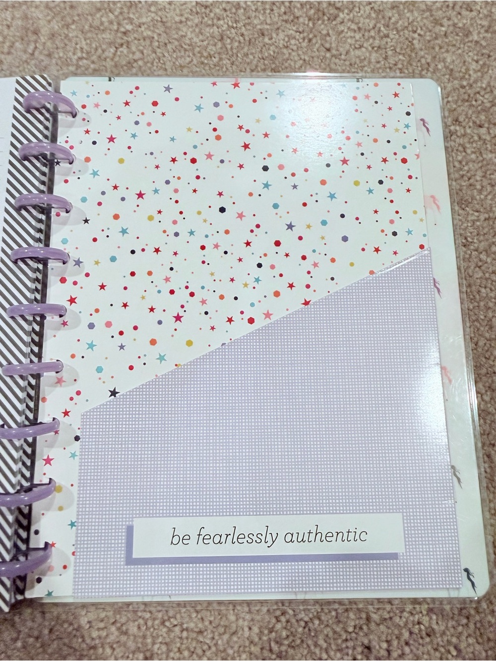Happy Planner BIG Wellness Health Planner Bundle Stickers Purple Discs - Picture 5 of 13